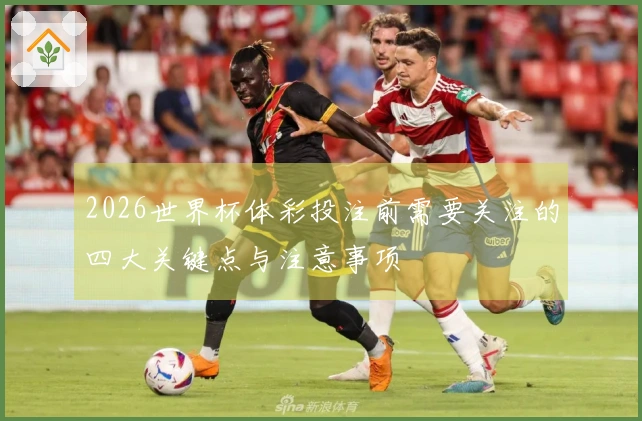 2026世界杯体彩投注前需要关注的四大关键点与注意事项