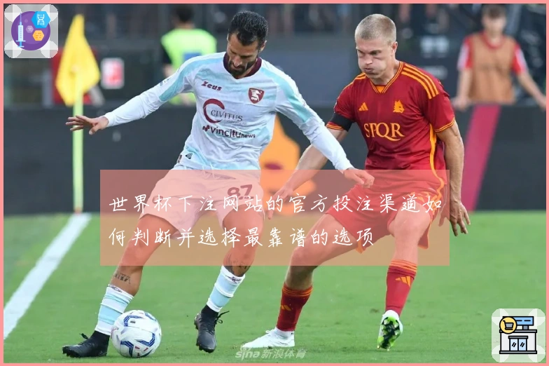 世界杯下注网站的官方投注渠道如何判断并选择最靠谱的选项