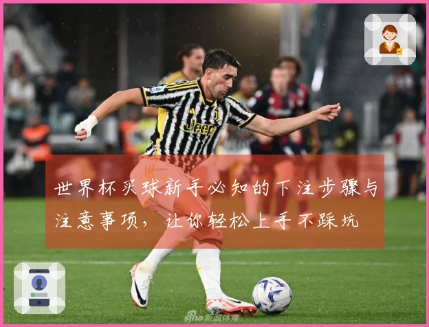 世界杯买球新手必知的下注步骤与注意事项，让你轻松上手不踩坑