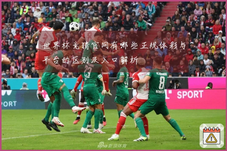 世界杯竞猜官网有哪些正规体彩与平台的区别及入口解析