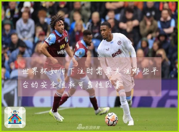 世界杯如何下注时需要关注哪些平台的安全性和可靠性因素