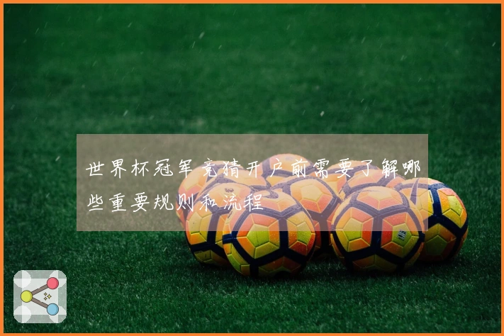 世界杯冠军竞猜开户前需要了解哪些重要规则和流程
