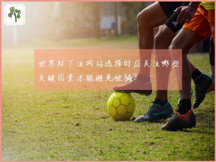 世界杯下注网站选择时应关注哪些关键因素才能避免被骗？
