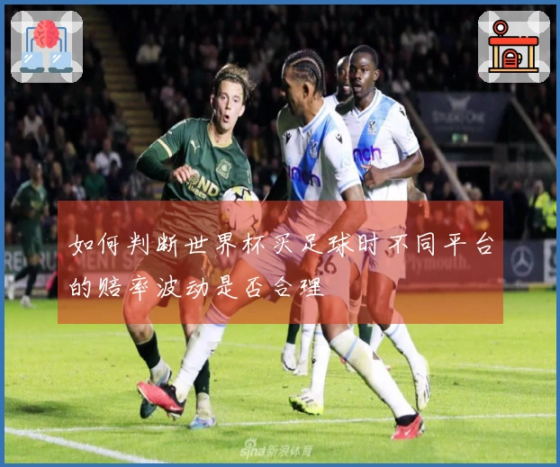 如何判断世界杯买足球时不同平台的赔率波动是否合理