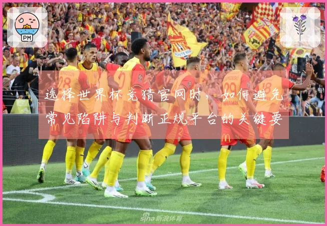 选择世界杯竞猜官网时，如何避免常见陷阱与判断正规平台的关键要素