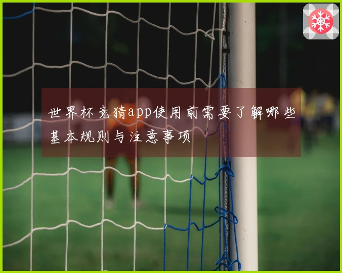 世界杯竞猜app使用前需要了解哪些基本规则与注意事项