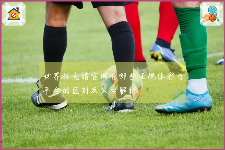 世界杯竞猜官网有哪些正规体彩与平台的区别及入口解析