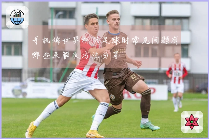 手机端世界杯买足球时常见问题有哪些及解决方法分享