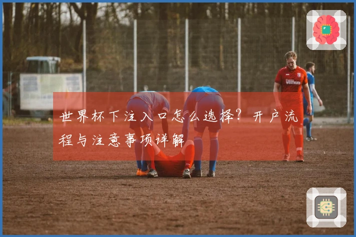 世界杯下注入口怎么选择？开户流程与注意事项详解