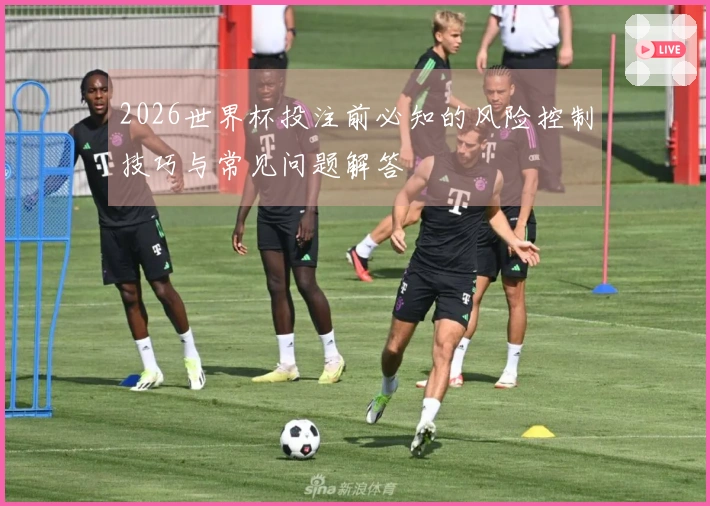 2026世界杯投注前必知的风险控制技巧与常见问题解答