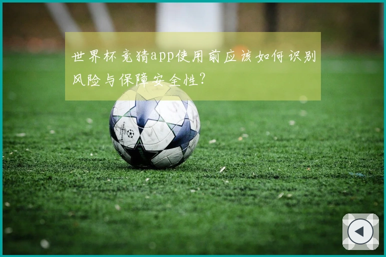 世界杯竞猜app使用前应该如何识别风险与保障安全性？