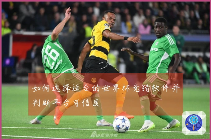 如何选择适合的世界杯竞猜软件并判断平台可信度