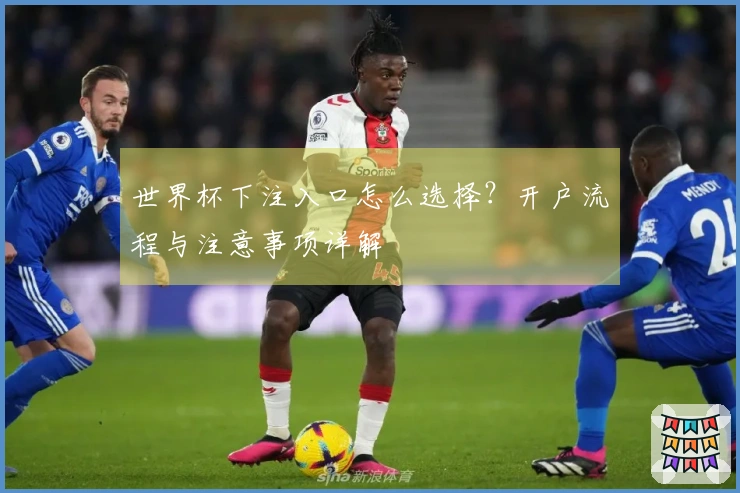 世界杯下注入口怎么选择？开户流程与注意事项详解